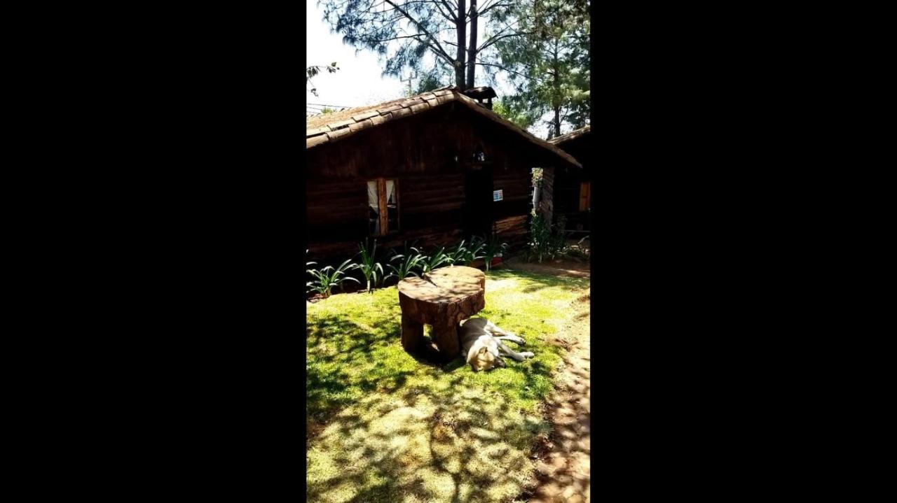 Cabanas Los Venados Mazamitla Eksteriør bilde